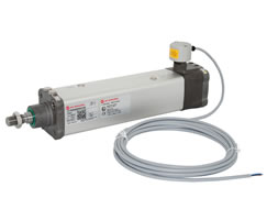 Cleanline silindir (valfsiz), 100 mm çap, 160 mm strok, ATEX sertifikalı, ayarlanabilir manyetik anahtar konumuyla