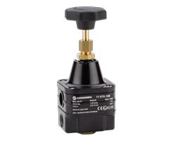 11-818 Serisi hassas basınç regülatörü, G1/4, 0,07-4 bar, manometresiz