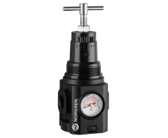 Aşırı sıcaklık uygulamaları için Excelon Plus basınç regülatörü, 3/8 PTF, 0,3-4 bar, entegre gösterge