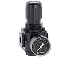 Excelon genel amaçlı basınç regülatörü, 3/8 PTF, 0,3-4 bar, göstergeli