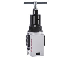 Excelon Plus genel amaçlı regülatör, 1/4 NPT, 0,7-17 bar, entegre gösterge