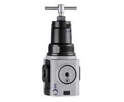 Excelon Plus genel amaçlı basınç regülatörü, G3/4, 0,7-17 bar, manometresiz