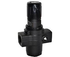 R17 Serisi genel amaçlı regülatör, G3/4, 0,3-8,5 bar, mastarsız