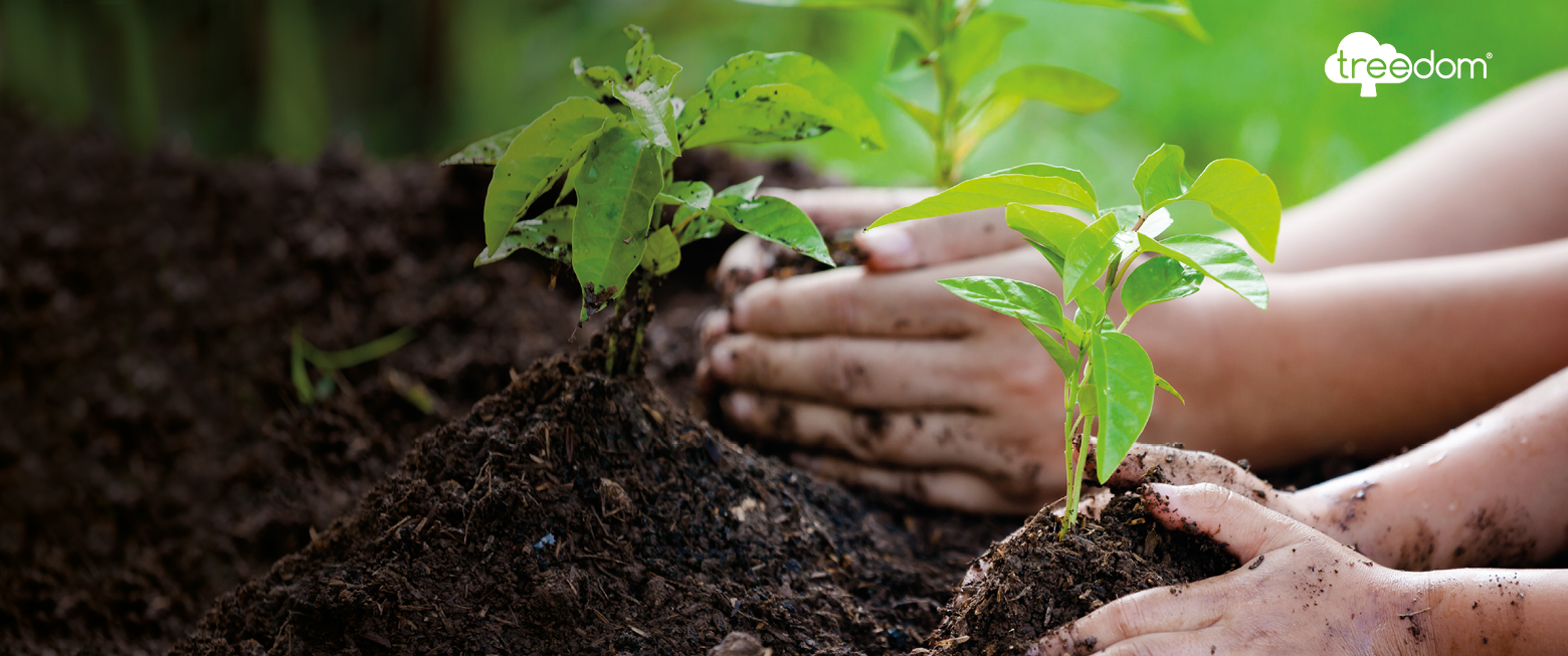 Norgren Treedom ormanını müşterilerimiz için genişletiyoruz