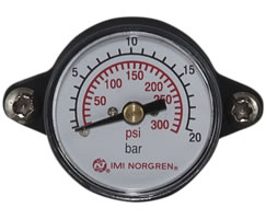 Excelon Plus Entegre Gösterge, 20 bar